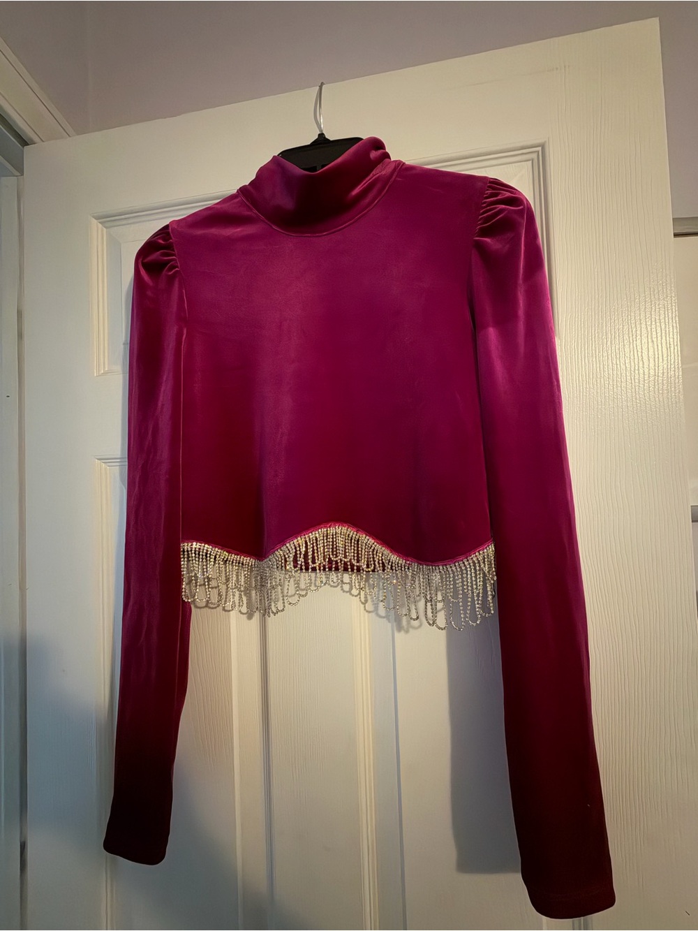 Fuchsia Velvet Crop Top with Crystal Fringe and Turtleneck